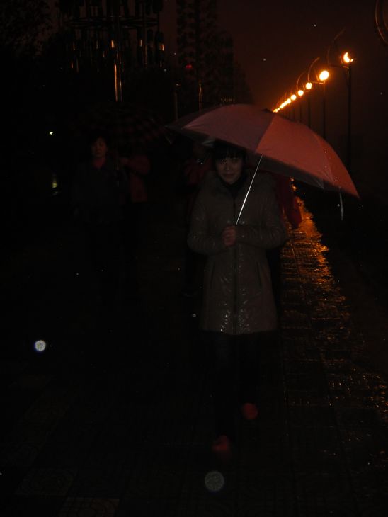 dsc08334.jpg