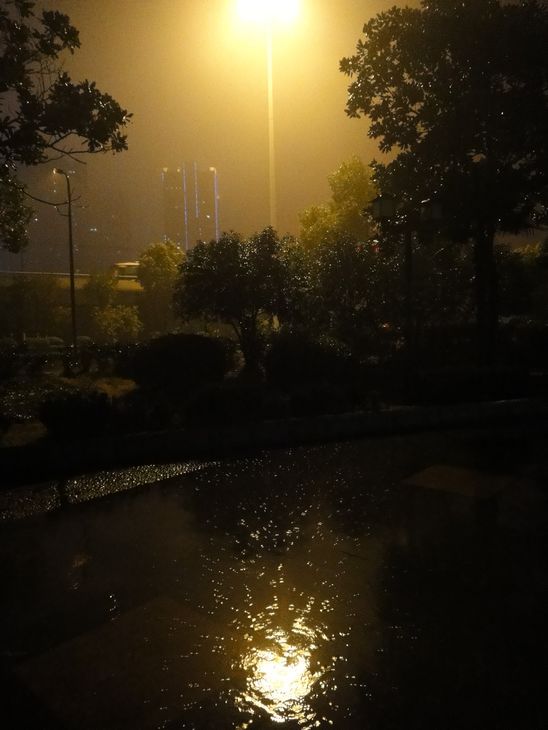 dsc08304.jpg
