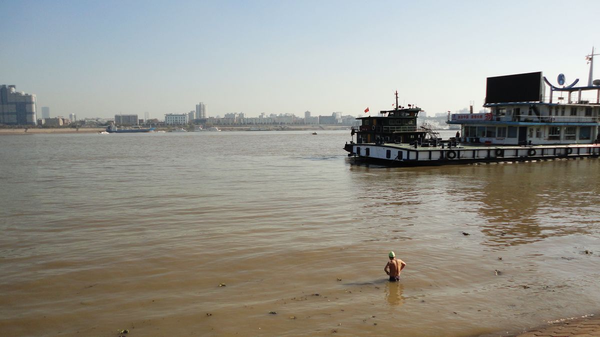 neo_img_dsc00806.jpg