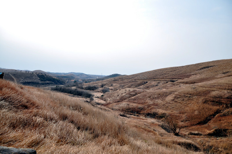 dsc_0011__.jpg