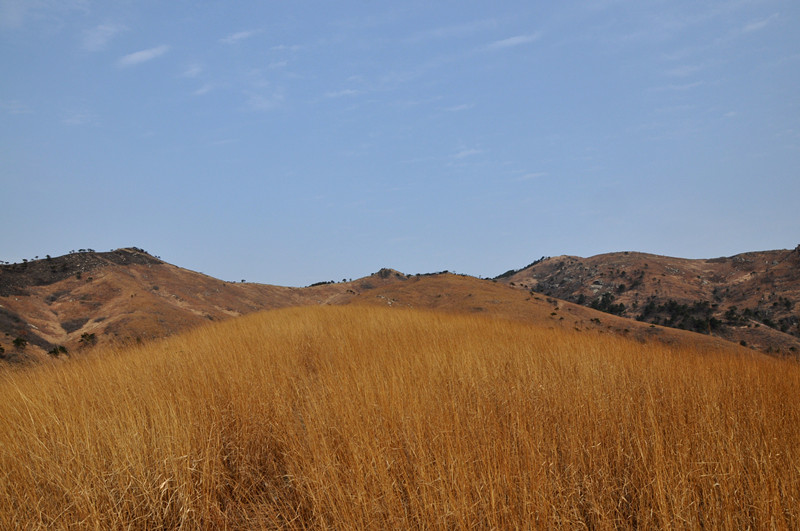 dsc_0026__.jpg