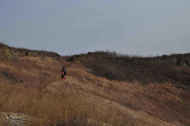 dsc_0066_.jpg