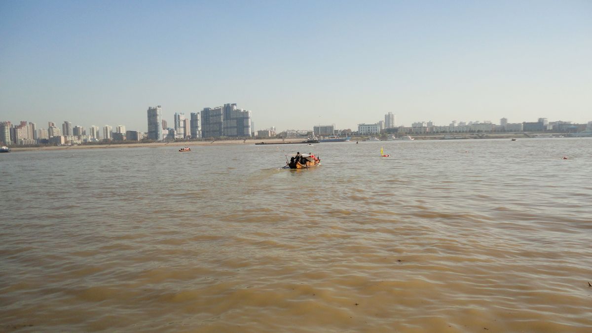 neo_img_dsc00810.jpg