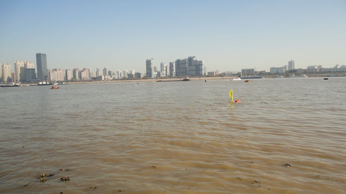 neo_img_dsc00811.jpg