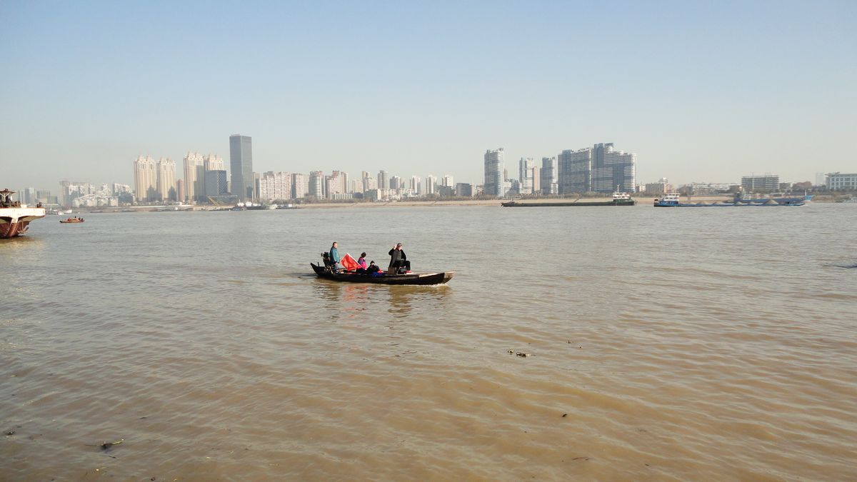 neo_img_dsc00841.jpg