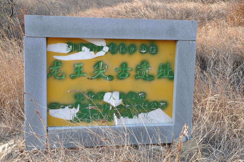 dsc_0172_.jpg