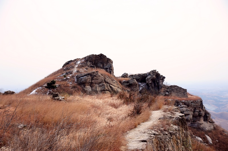 apx_7206.jpg