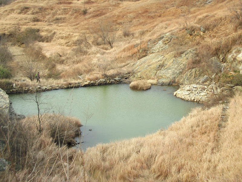 dscf0457_.jpg