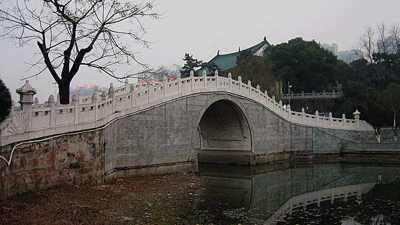 img_0595_1.jpg