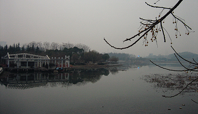 img_0605_1.jpg