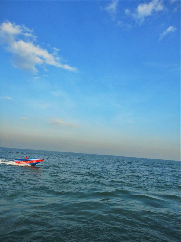 s6003862.jpg