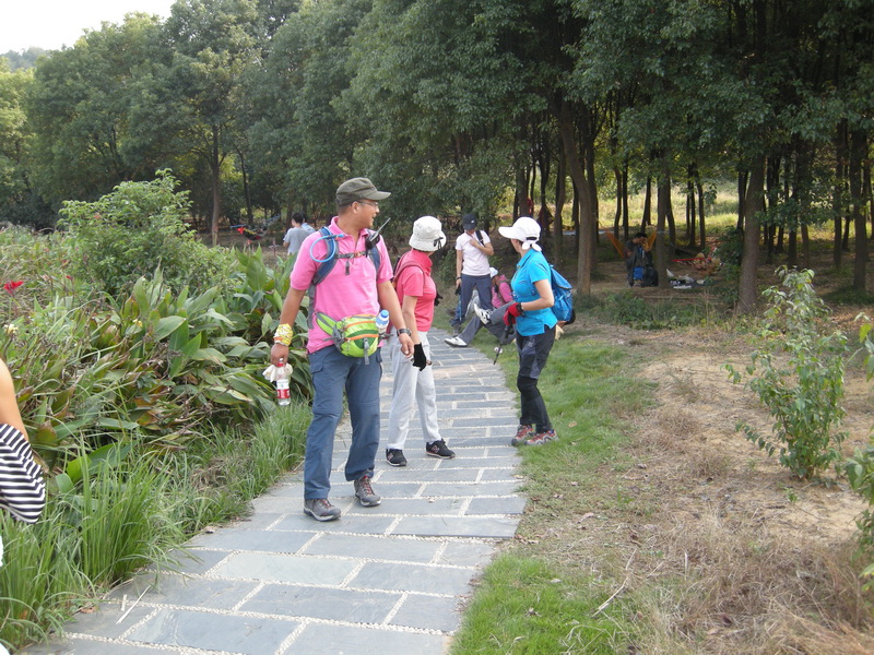 dscn8232.jpg