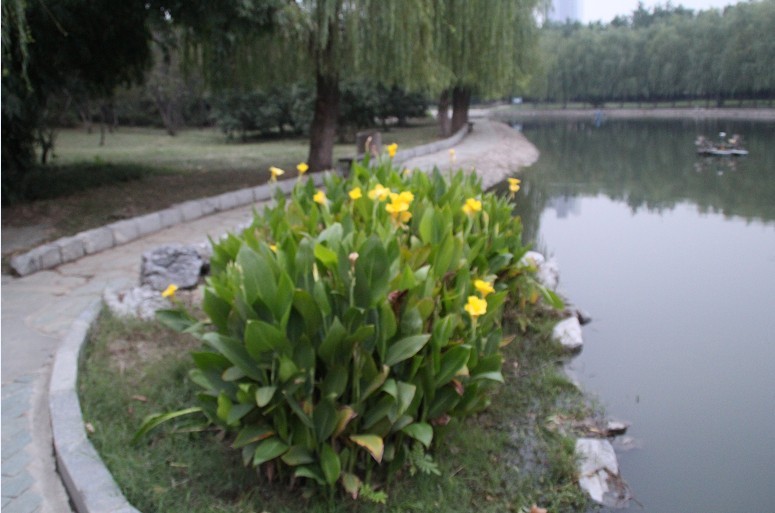 07.jpg
