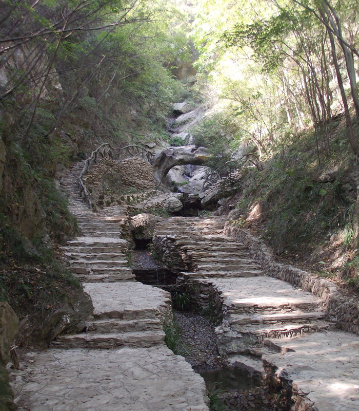 dscf5058.jpg