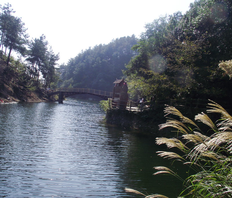 dscf5066.jpg