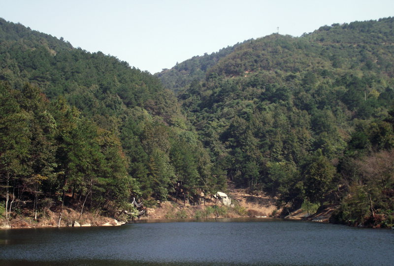 dscf5090.jpg