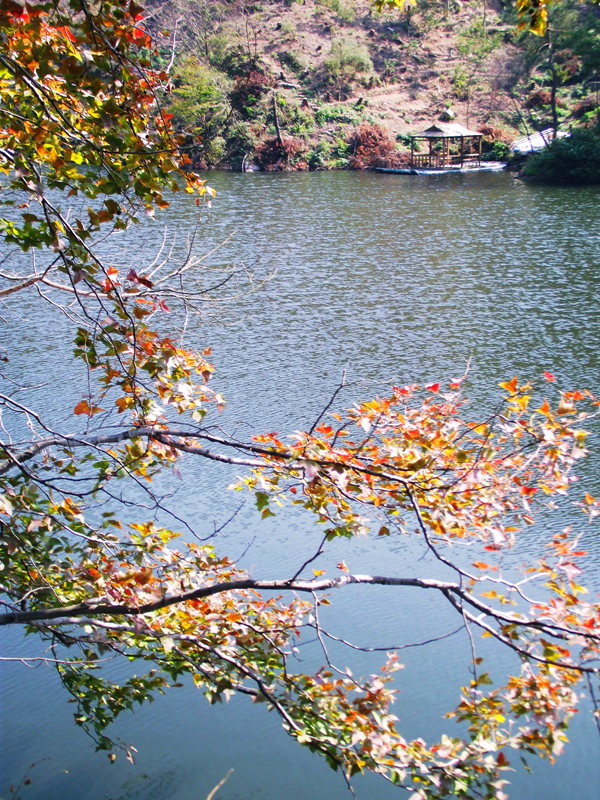 dscf5099.jpg