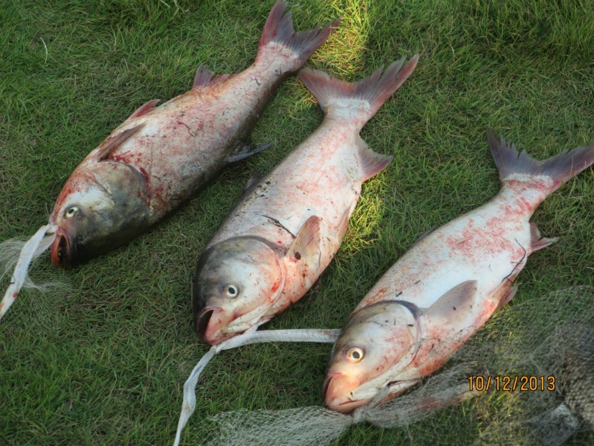 qqͼƬ20131014204239.jpg