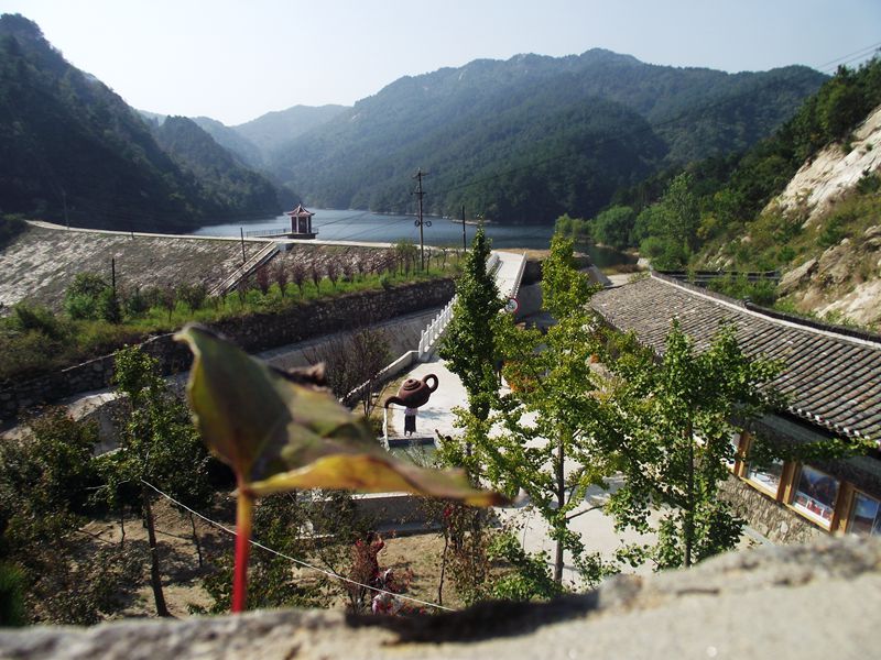 dscf5238.jpg