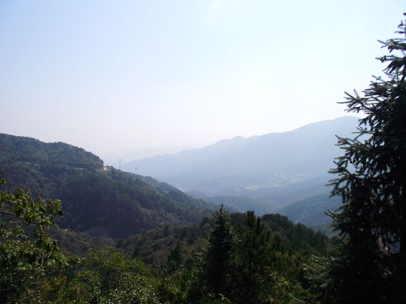 dscf5161.jpg
