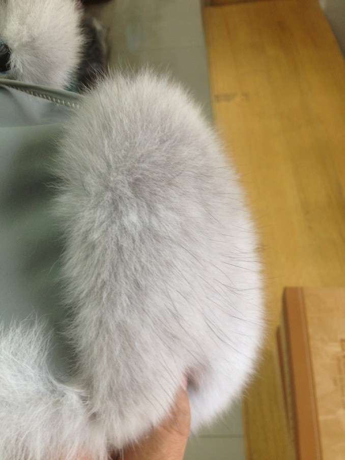 qqͼƬ20131015161549.jpg