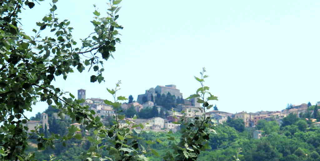 img_9061_����.jpg