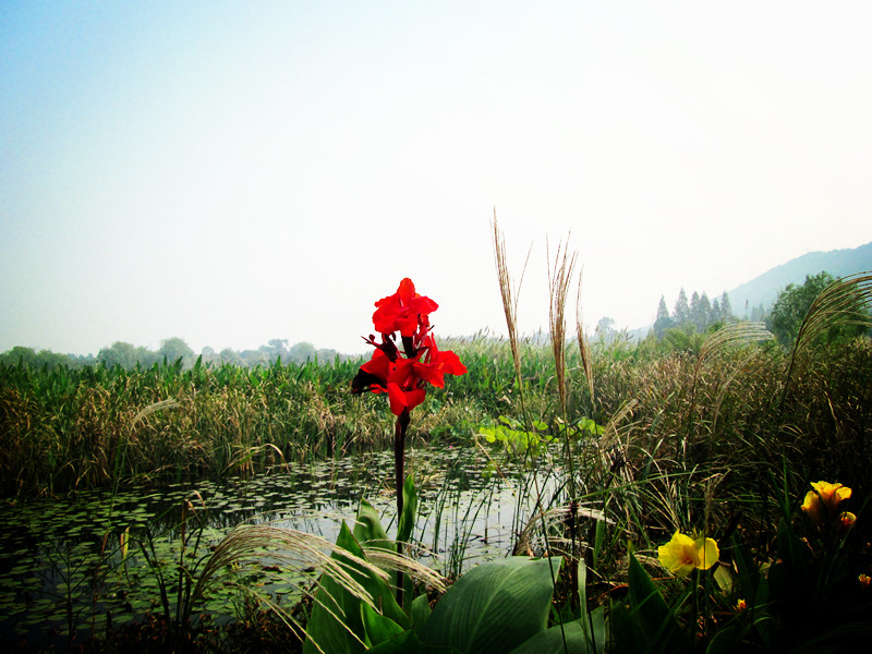 1020 019_.jpg