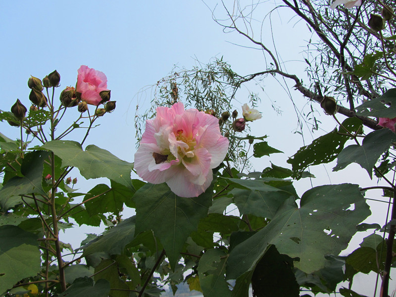 1020 025_.jpg