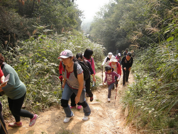 dscn8310.jpg
