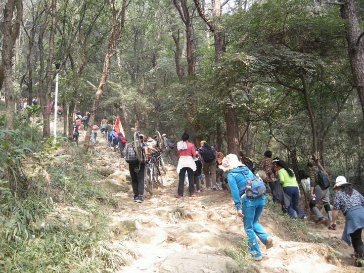 dscn8311.jpg