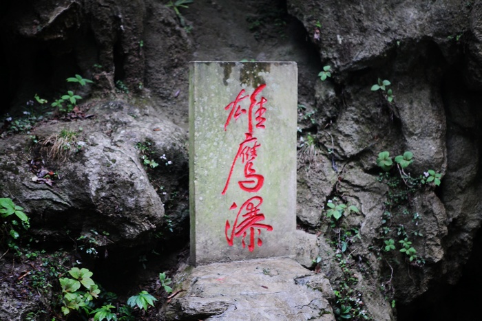 2013461419225460.jpg