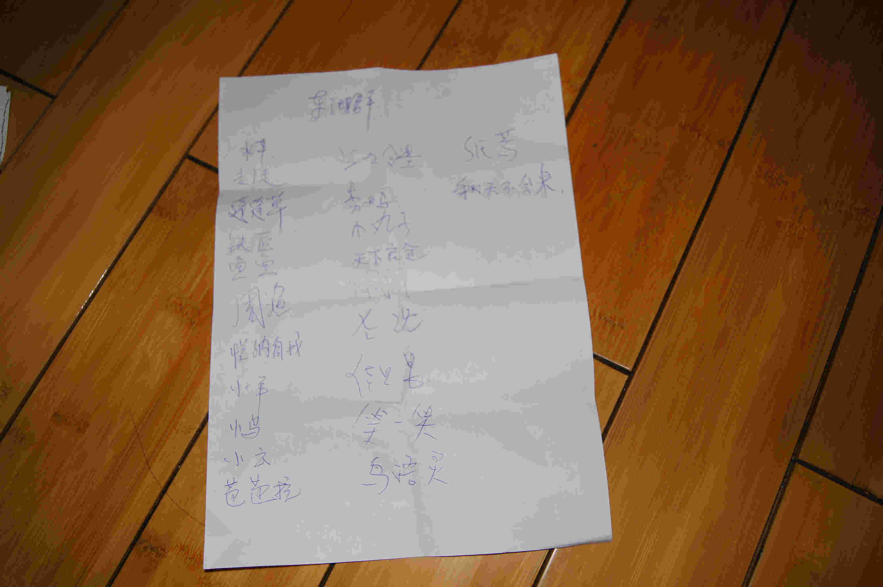 dsc08277.jpg