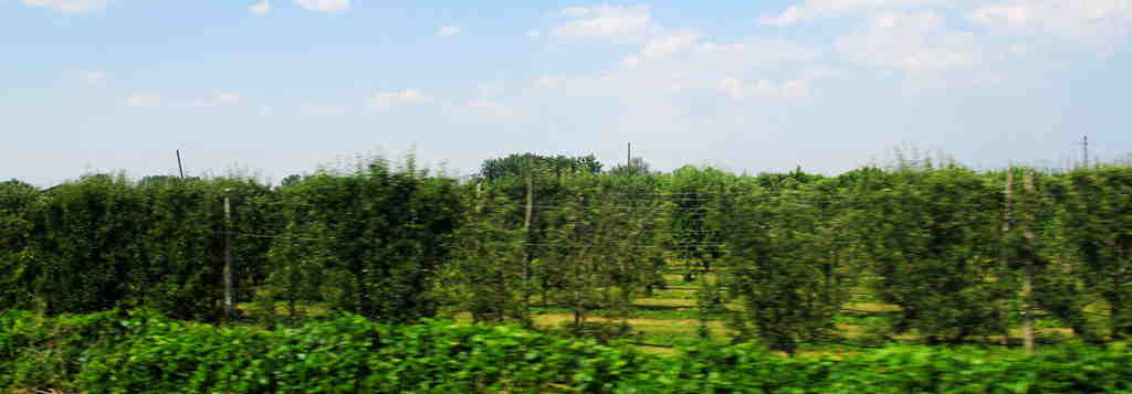 img_9177_����.jpg