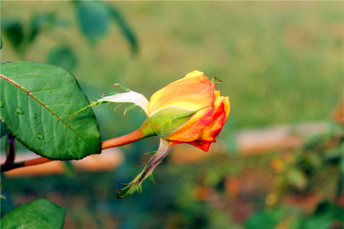 img_8502_.jpg
