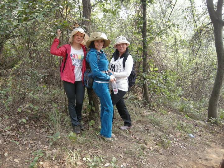 dscn8330.jpg
