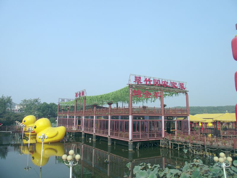 dscf0070.jpg