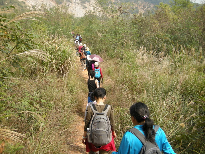 dscn8395.jpg