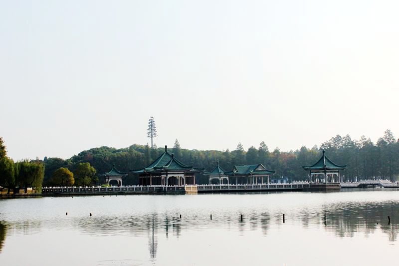 img_6015.jpg