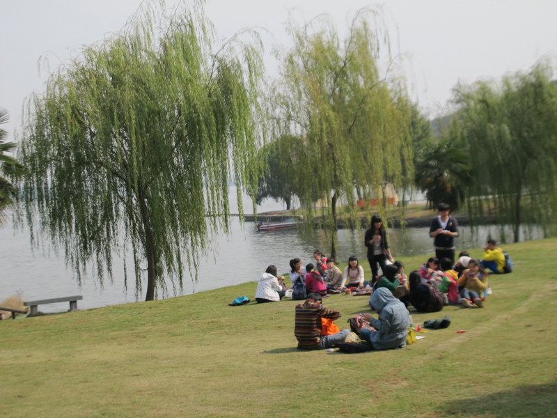 201350 029.jpg