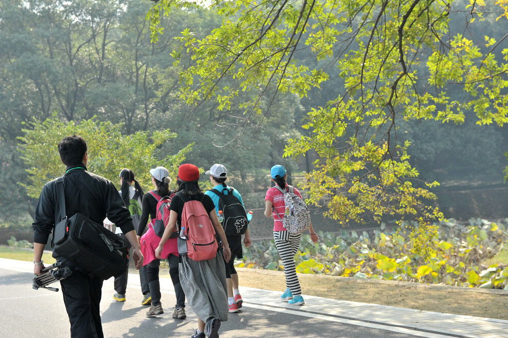 dsc_7519.jpg