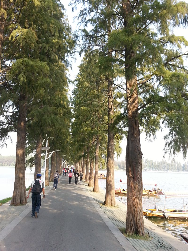 20131026_090255.jpg