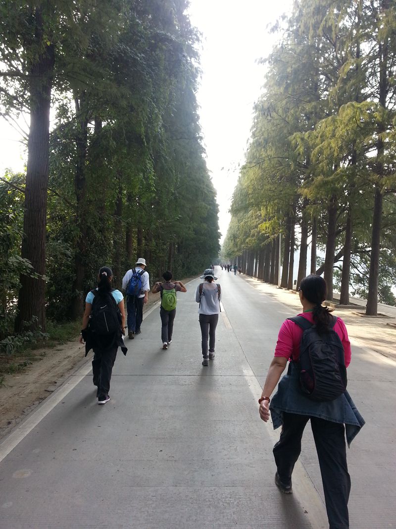 20131026_094420.jpg