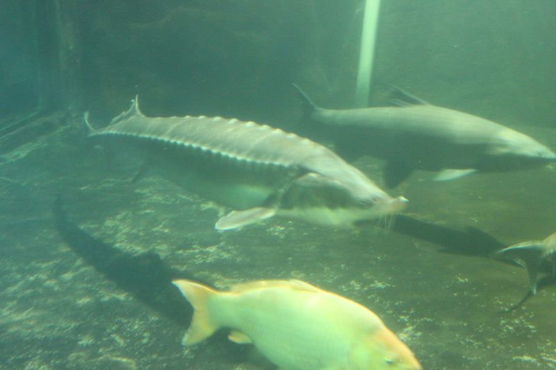 img_6113.jpg