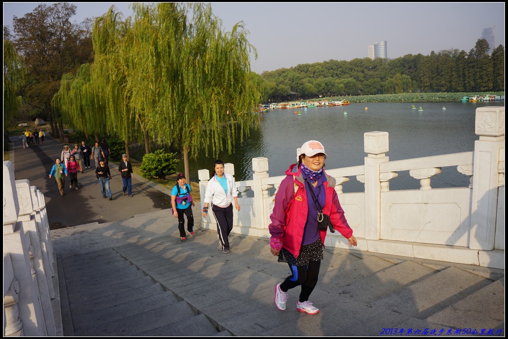 20135082.jpg