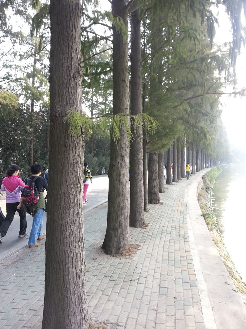 20131026_100316.jpg