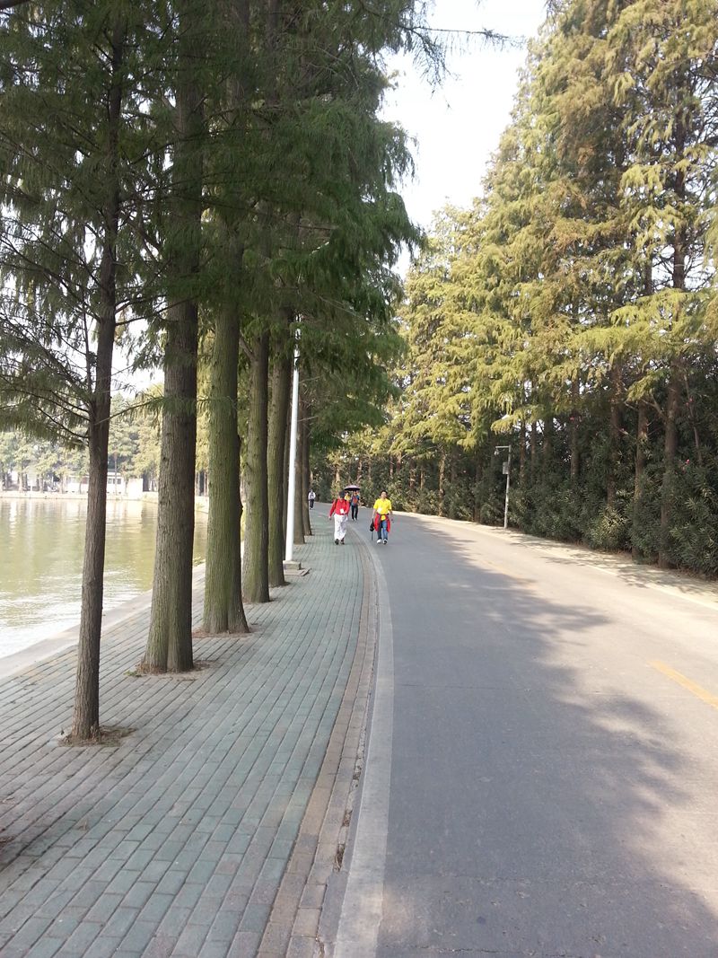 20131026_100328.jpg