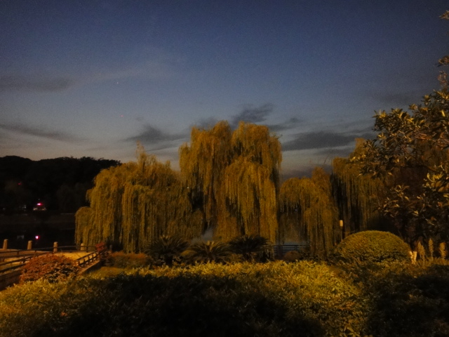 dsc01609.jpg