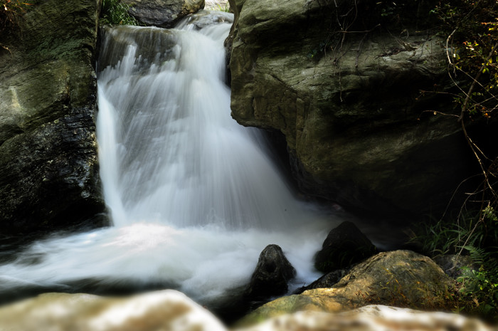 _dsc3254.jpg