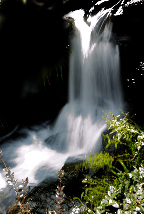 _dsc3229.jpg