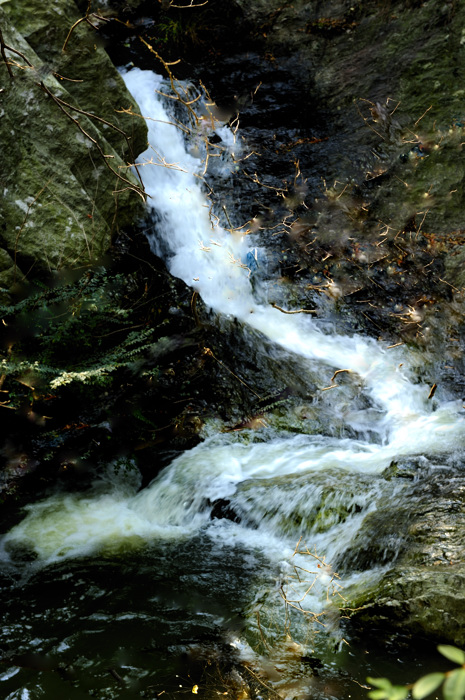 _dsc3278.jpg